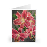 Pink Stargazer Lilies - Greeting Cards (5 Pack)