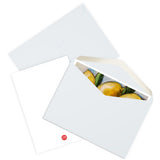 Lemony Fresh -- Greeting Cards (5 Pack)
